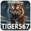 Logo da TIGER567